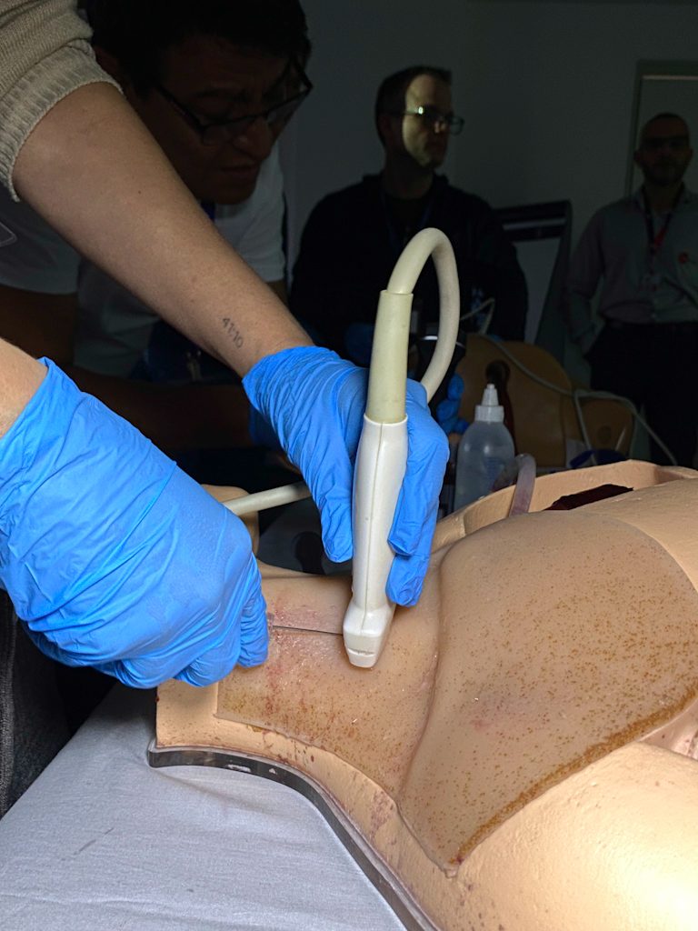 Procedimento guiado por ultrassom em phantom
