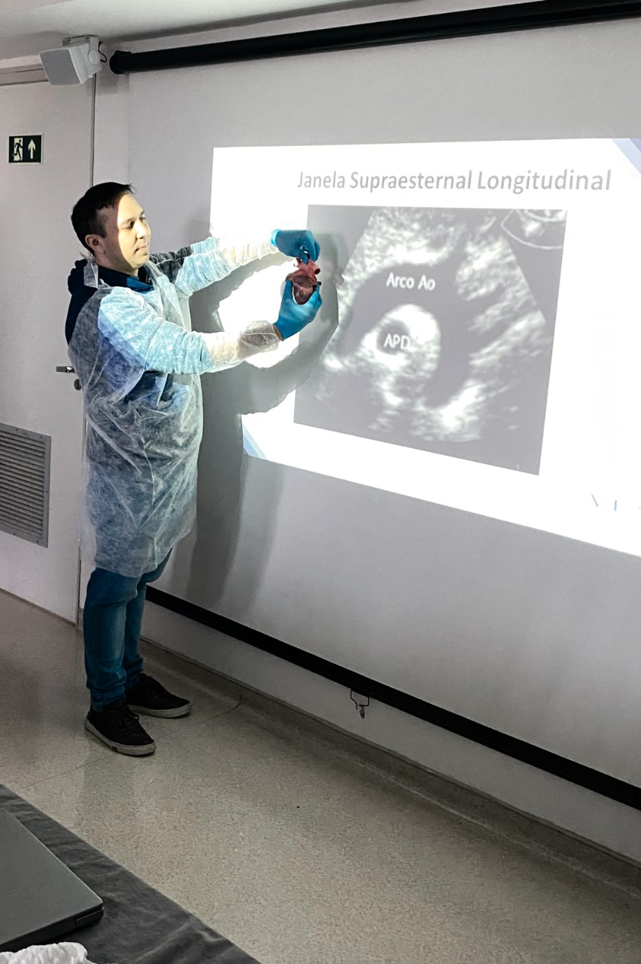 Instrutor correlacionando anatomia e imagem de ultrassom