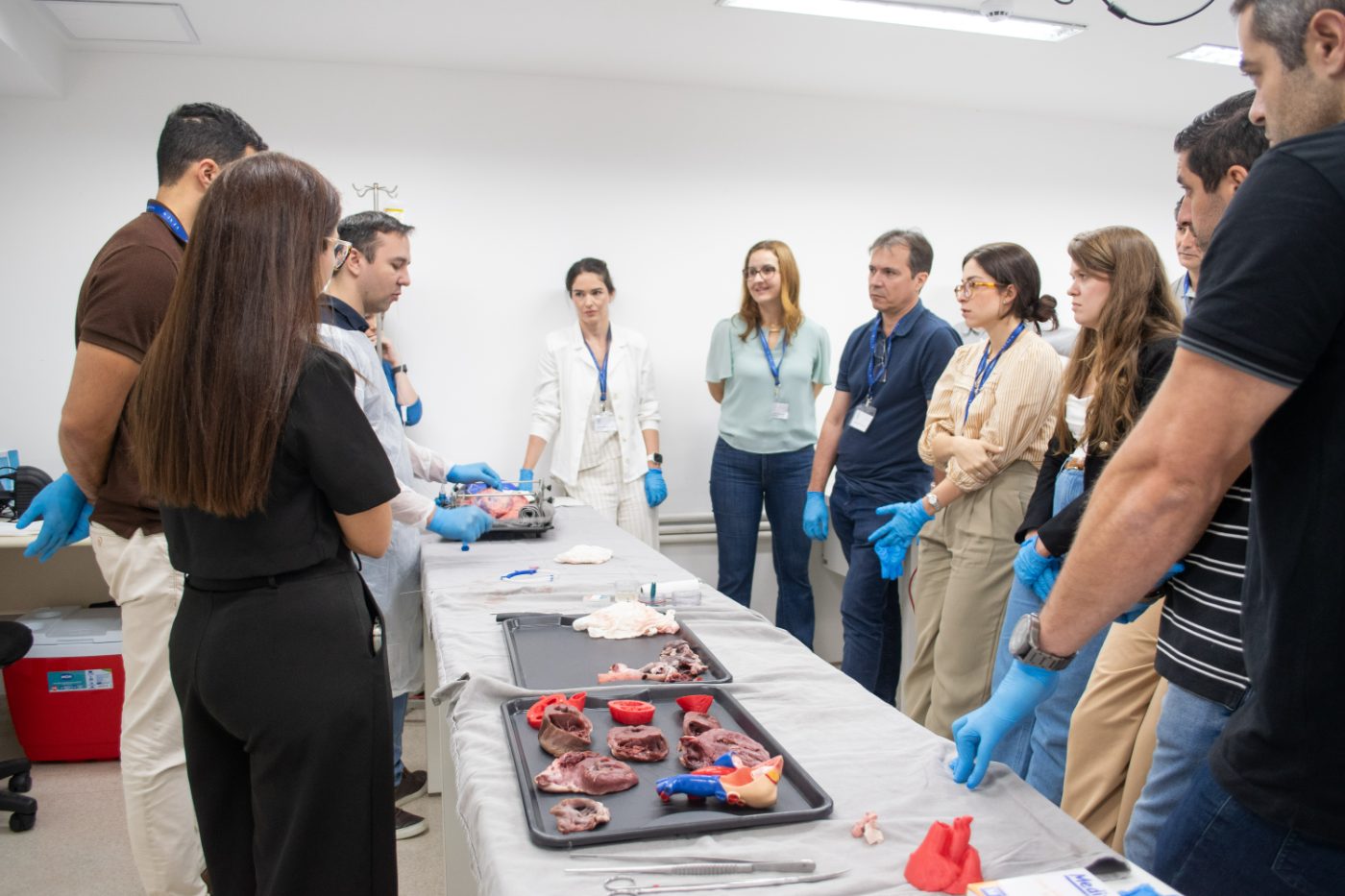 Estação de dissecção de corações suínos
