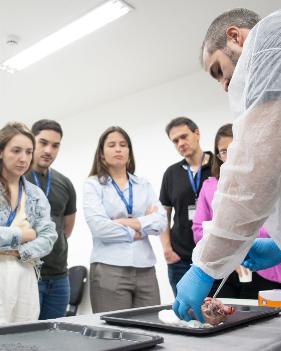 Dissecção de coração suíno acompanhada pela turma