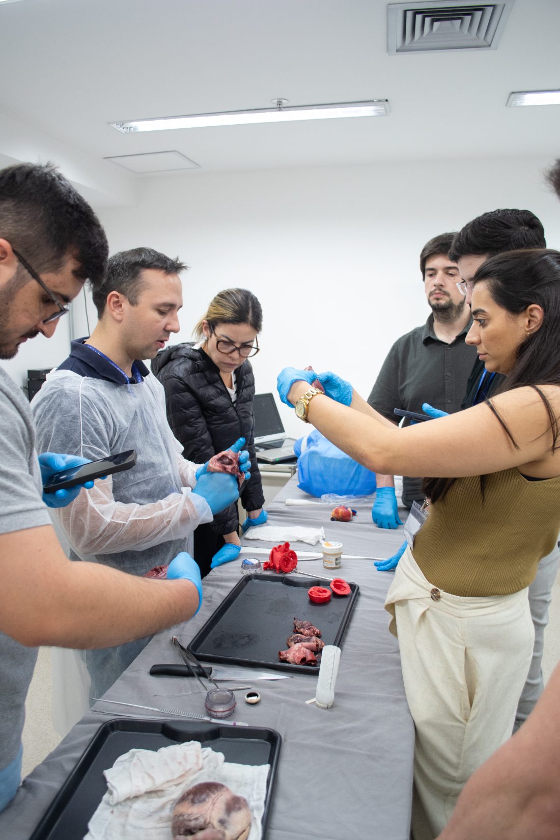 Estação de dissecção cardíaca com a turma