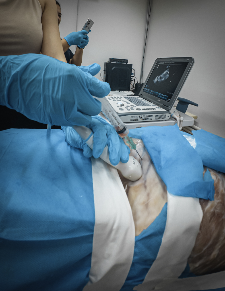 Estação de NeuroPOCUS no plano mesencefálico durante a imersão